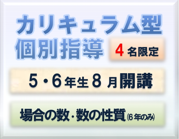 カリキュラム型個別指導８月開講のイメージ